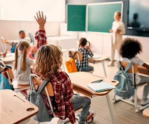 Elementary School Training Workshop